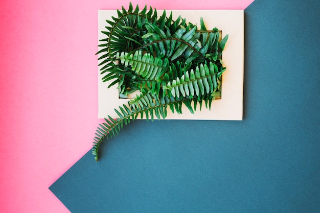 Jak wprowadzić elementy natury do wnętrza za pomocą kreatywnych wzorów ściennych?